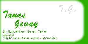 tamas gevay business card